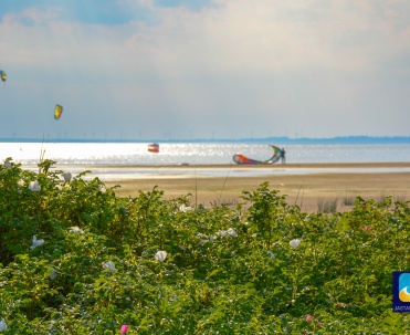 Zatoka Pucka - mekka wind i kitesurferów.
